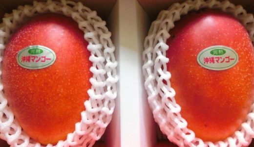 沖縄県大宜味村よりふるさと納税　農園一番人気の完熟アップルマンゴー！